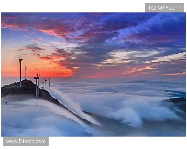 都市生活直播在线观看:实时体验城市脉搏 都市生活直播在线观看:实时体验城市脉搏